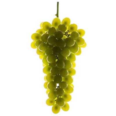 Imagen PNG para descargar